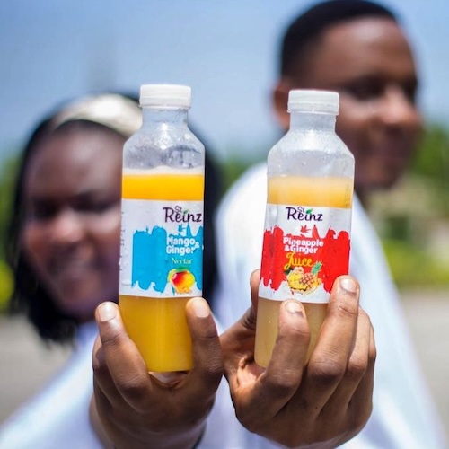 Mango Ginger Nector and Pineapple Ginger Juice